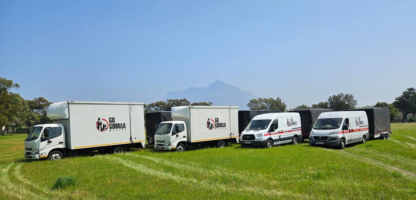 The Go Gorilla Movers fleet lined up with Table Mountain in the background